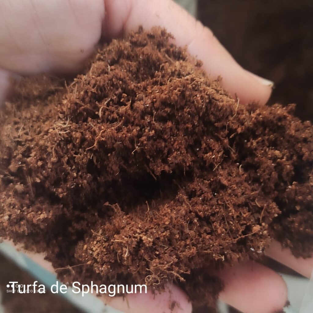 Fungicida Granulado Cercobin 875W Fracionado Rosa de Pedra