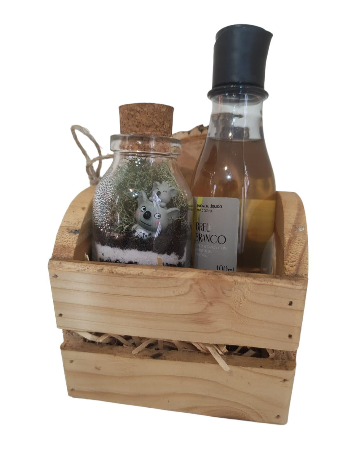 Box Mini Terrário - Image 4