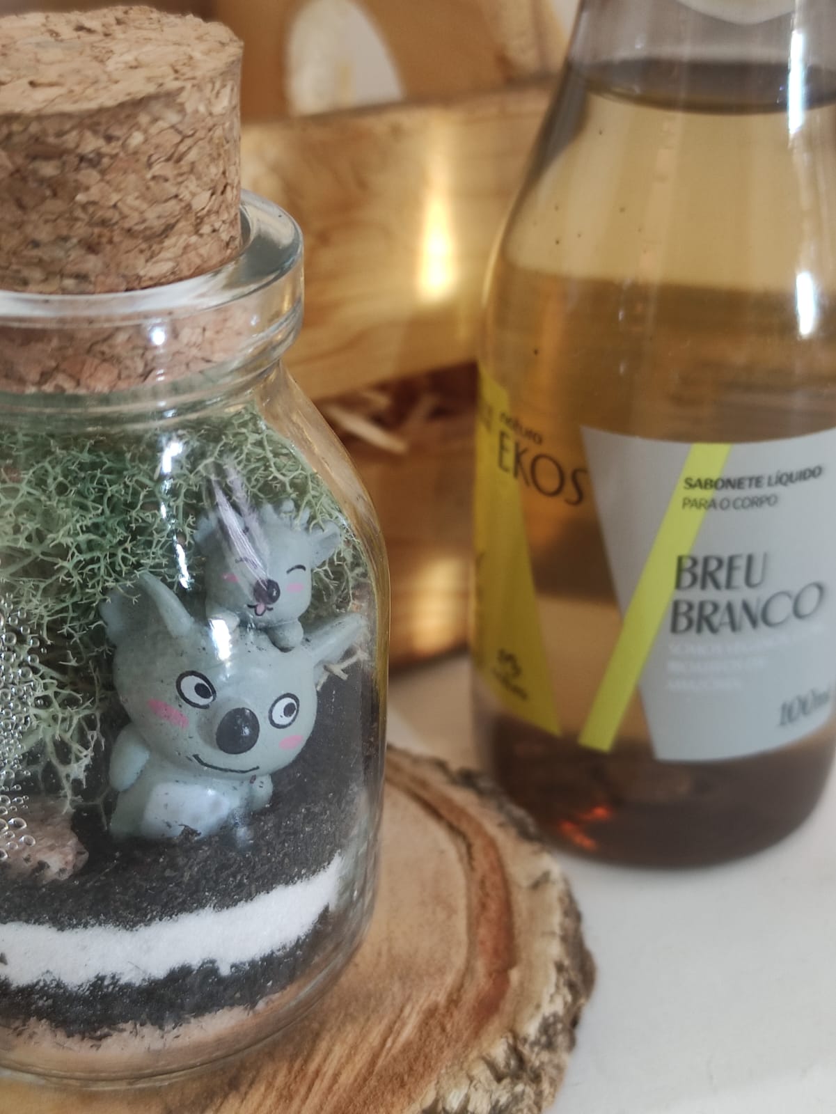 Box Mini Terrário - Image 3